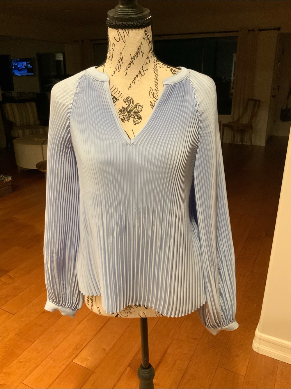 Banana Republic Light Blue Pleated V-Neck Long-Sleeve Blouse